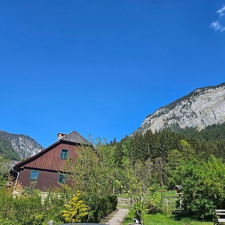 Premium Apartment Mit Privatem Whirlpool, Sauna, Garten Sankt Martin am Grimming Exterior photo