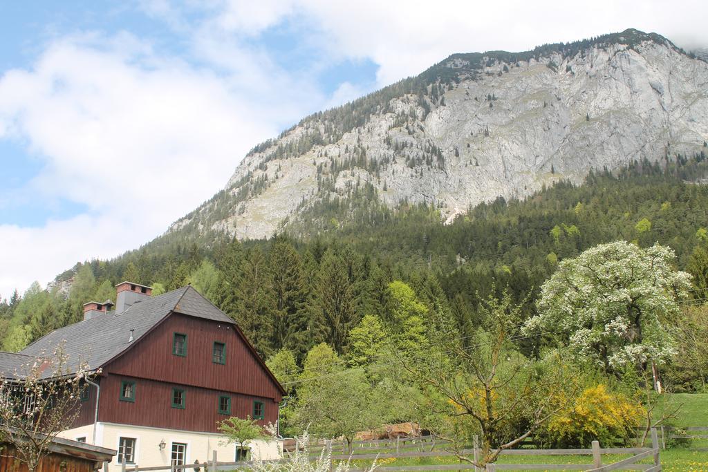 Premium Apartment Mit Privatem Whirlpool, Sauna, Garten Sankt Martin am Grimming Exterior photo
